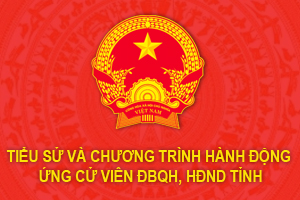 Chương trình hành động ứng cử viên đại biểu HĐND tỉnhQuảng Ngãi khóa XIII, tại đơn vị bầu cử huyện Lý Sơn