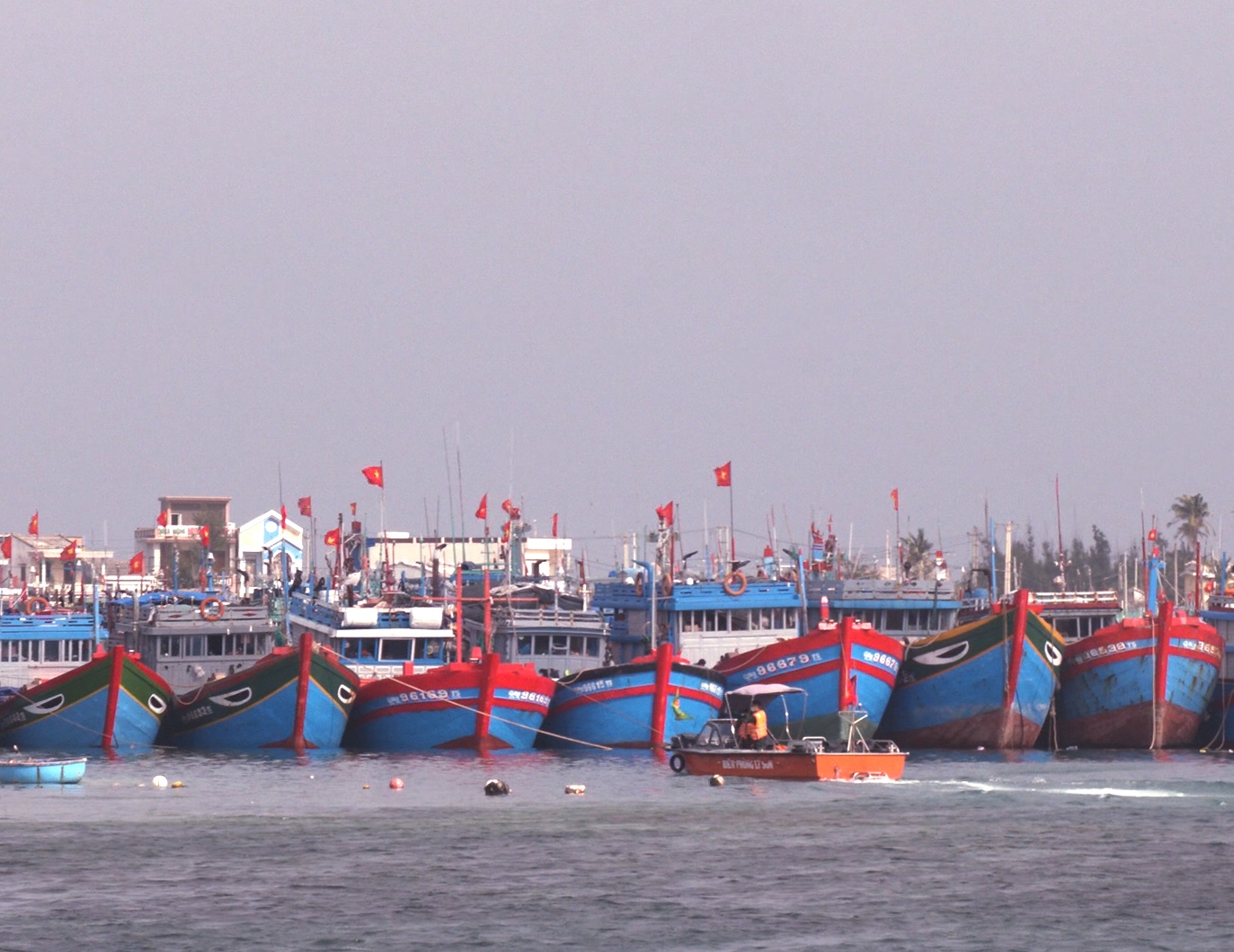 Biên phòng Lý Sơn: vận động ngư dân thực thi pháp luật khai thác hải sản đúng pháp luật