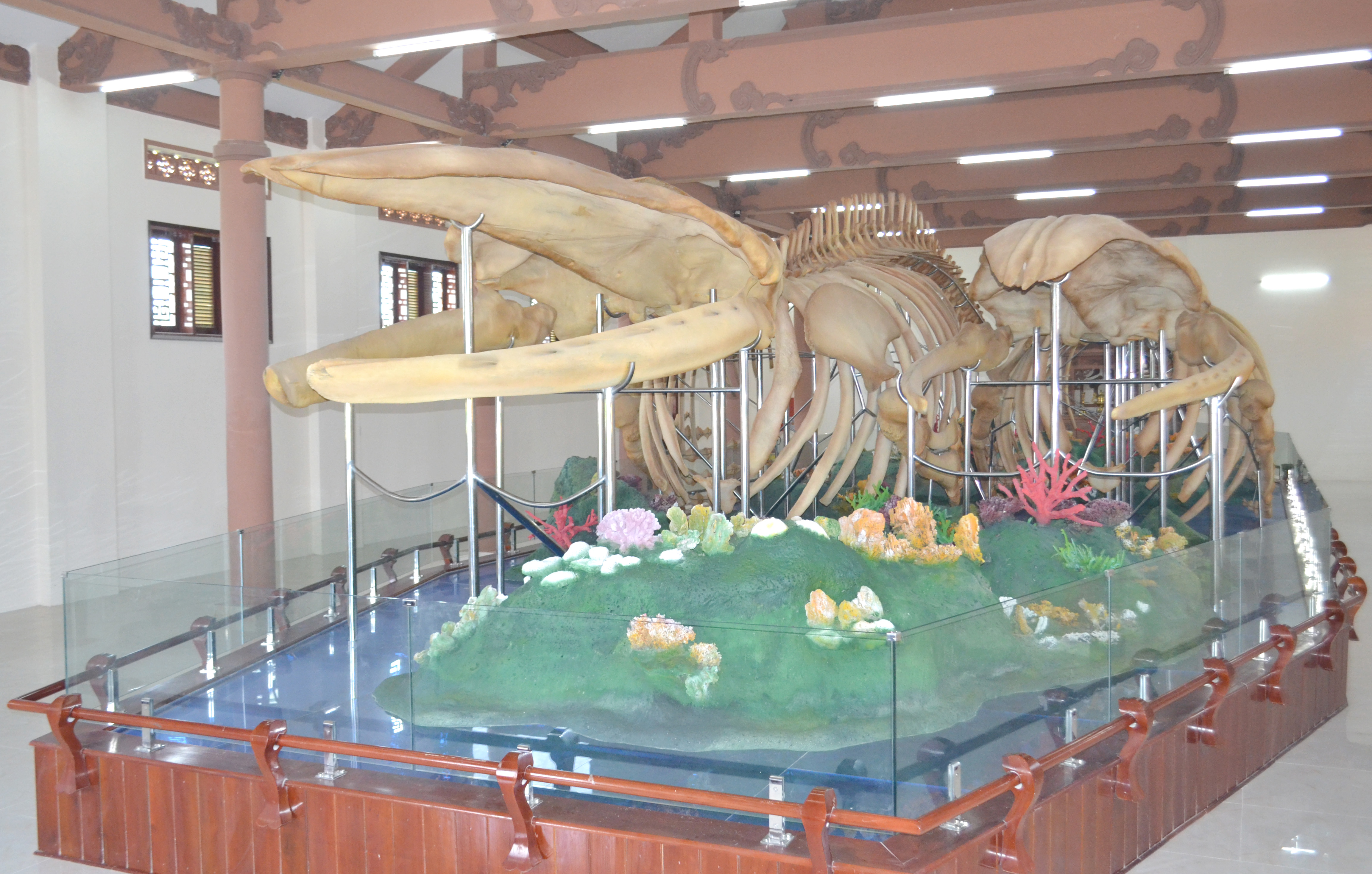 Nhà trưng bày bộ xương cá Ông ở đảo Lý Sơn hấp dẫn du khách