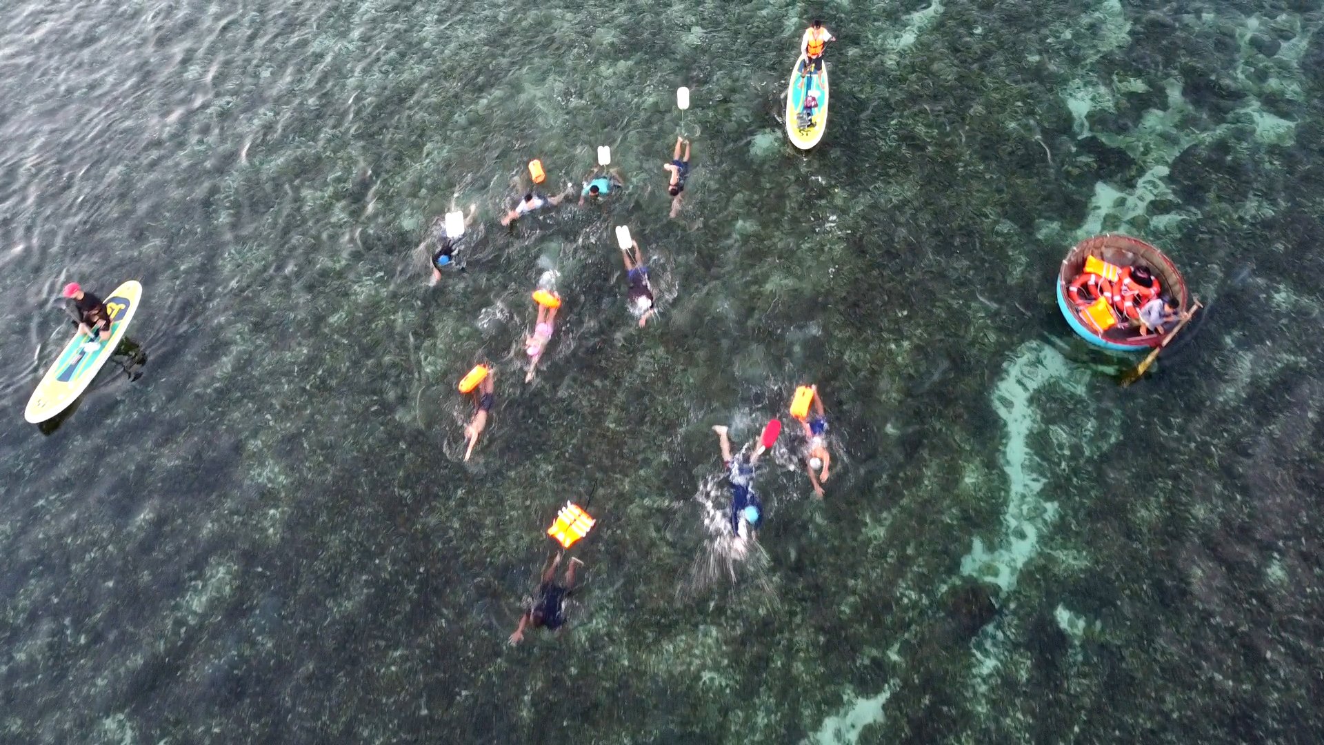 10 vận động viên tranh tài bơi vượt biển ở đảo Lý Sơn