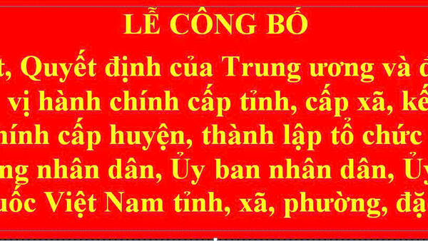 Lễ công bố các Nghị quyết về sáp nhập tỉnh, Quyết định thành lập các đảng bộ tỉnh; Nghị quyết, Quyết định đối với xã, phường, đặc khu